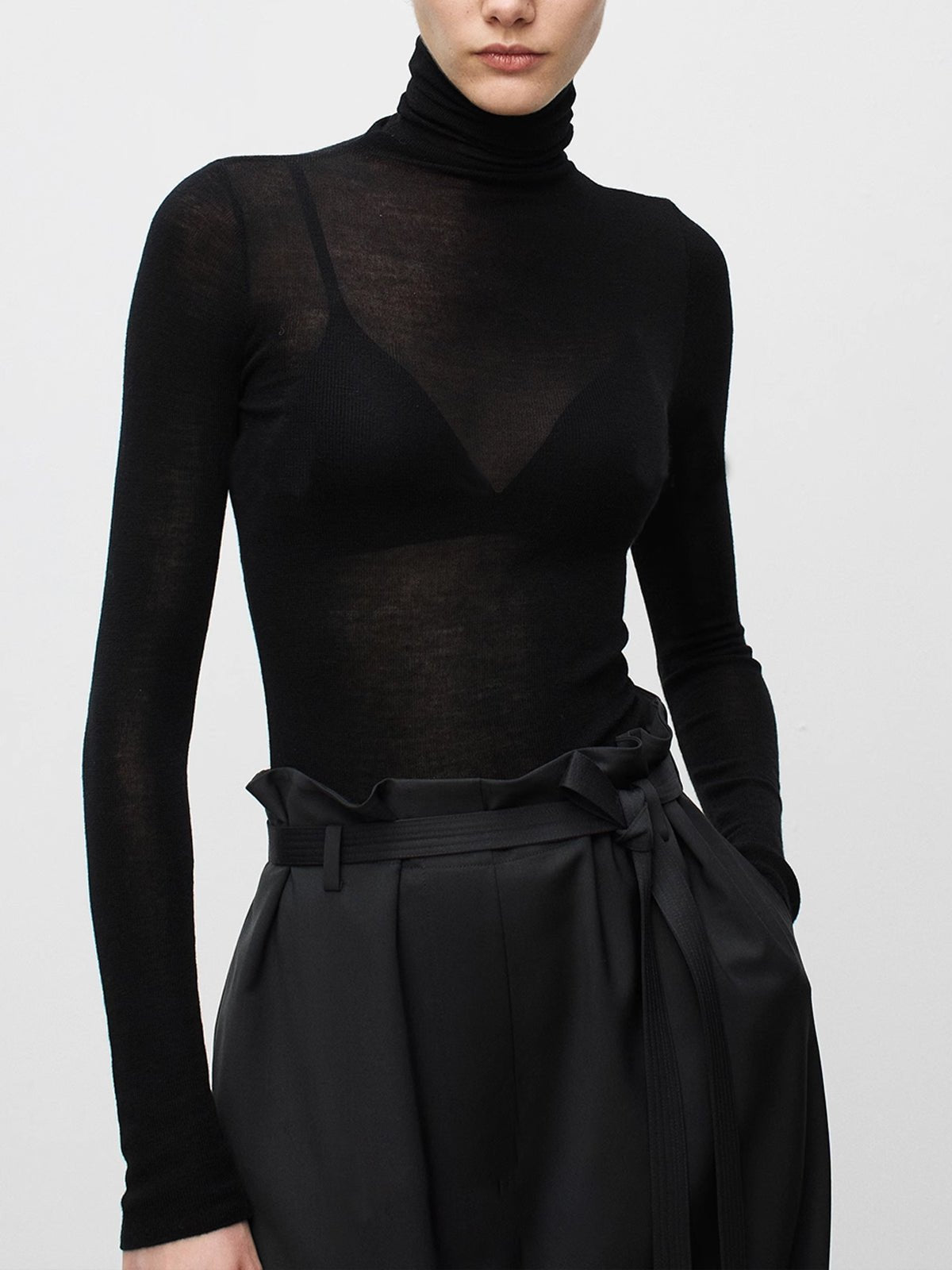 Wool-Blend Turtleneck Sheer Sweater Close Up