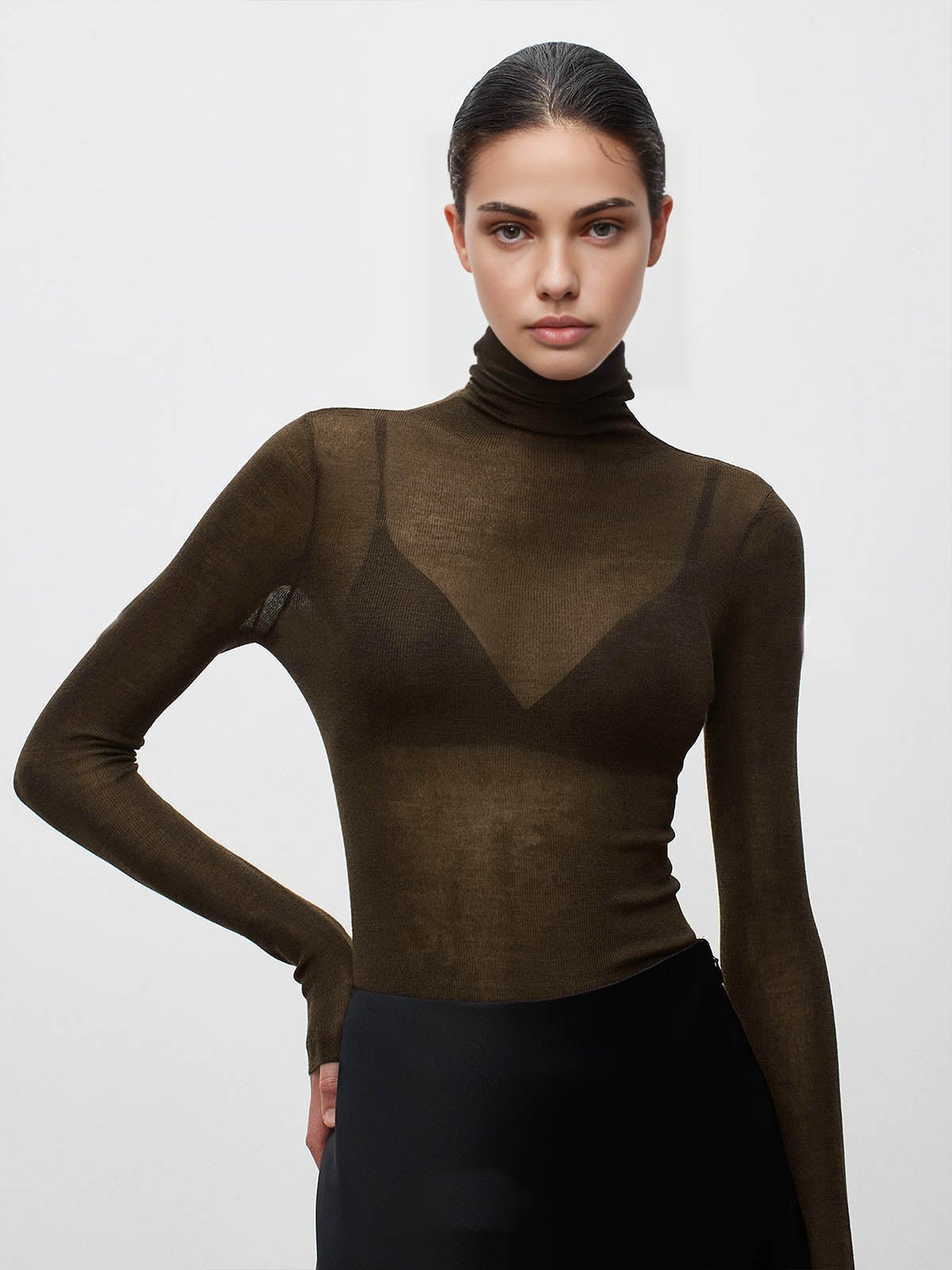 Wool-Blend Turtleneck Sheer Sweater Hero